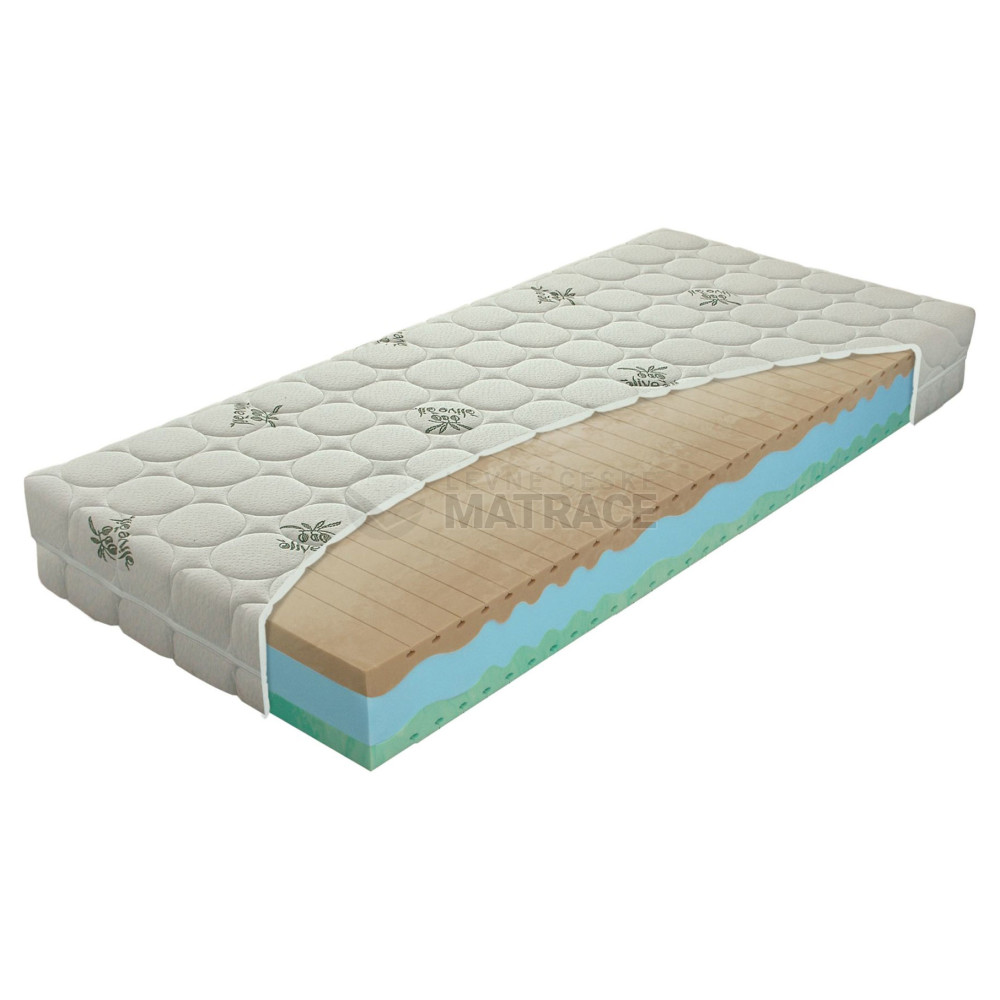 Biogreen Maxi v potahu OlivOil