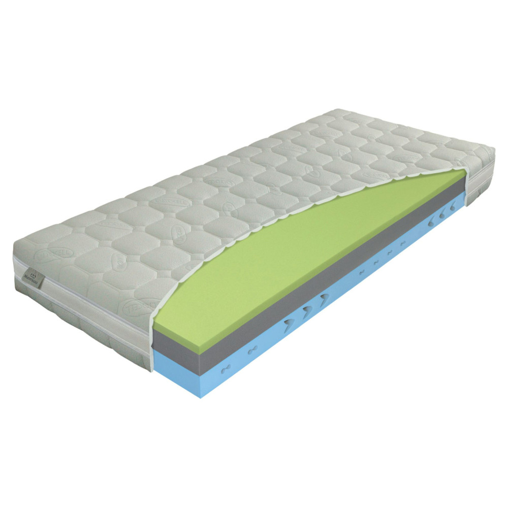 Dynamic v potahu Algua