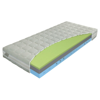 Dynamic v potahu Algua